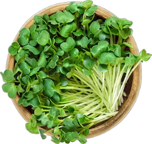 safety of microgreens food